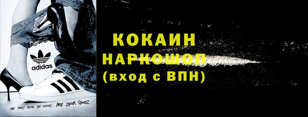 прущий лед Алзамай