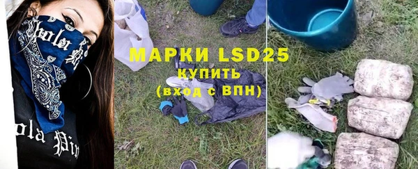 прущий лед Алзамай