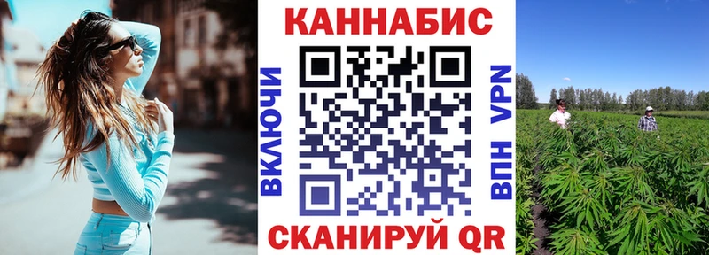 купить закладку  Краснослободск  Шишки марихуана SATIVA & INDICA 